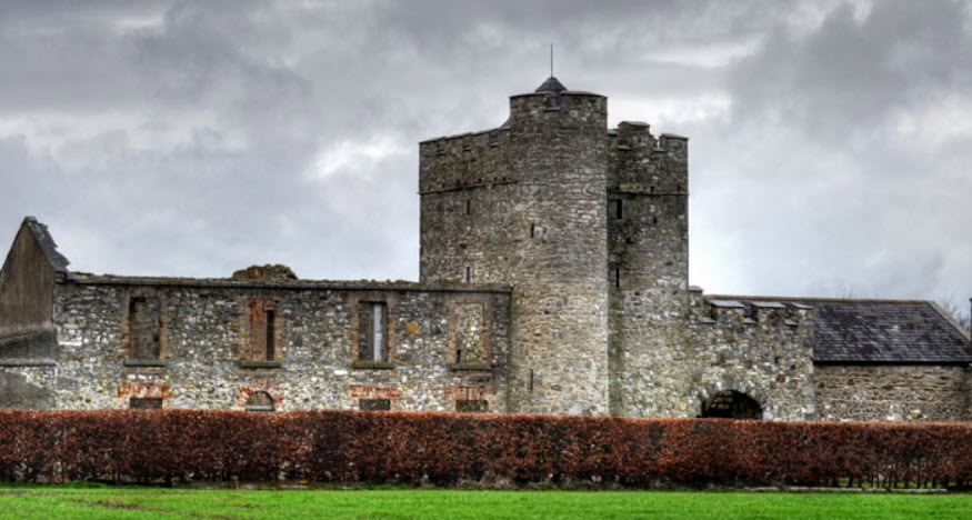 Reeves Castle, Ireland